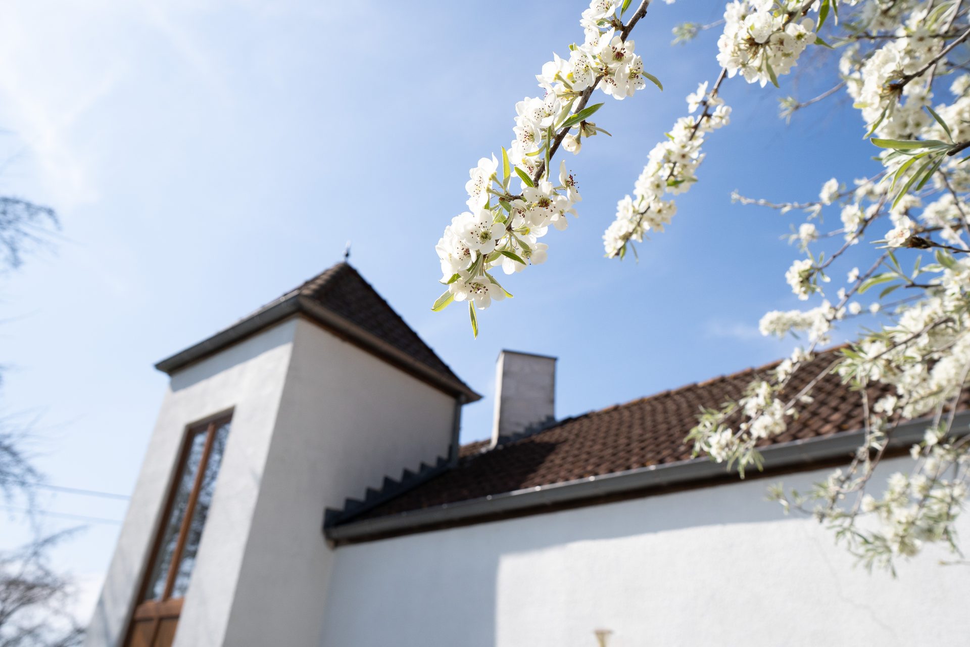 Pittoresk vakantiewoning Westouter